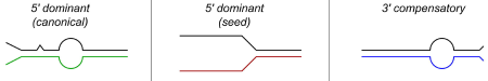 Figure 2 - modes of miRNA target recognition